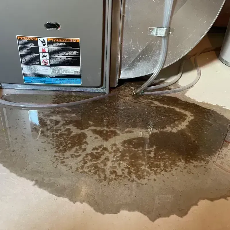 Appliance Leak Cleanup in La Grange, IL